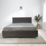 Pat Roman 02 - imagine 2