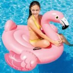 Plută-saltea gonflabilă “Flamingo” 57558 - imagine 2