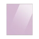 Panou pentru frigider Samsung RA-B23EBB38GG