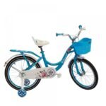 Bicicleta pentru copii HL 021-20 Turquoise