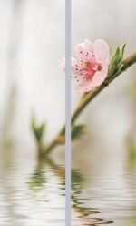 Dulap glisant DХ-100 1.0m Imprimare foto 1/2 (usa) - imagine 3